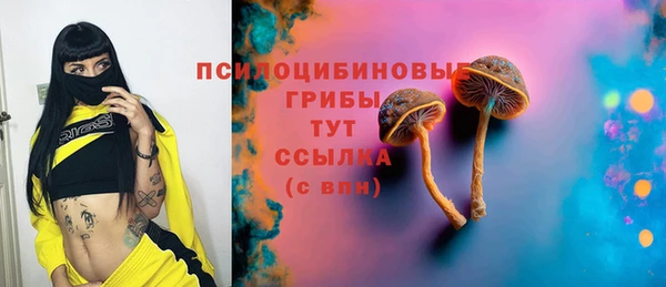 прущие крисы Арсеньев