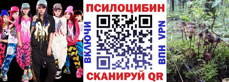 Псилоцибиновые грибы Cubensis  где продают   Сосновый Бор 